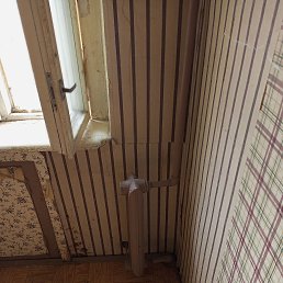 ���� �����, ������, 46 ��� - ��������� 8 ����� 2023