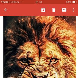 Partrobus, �������, 40 ���