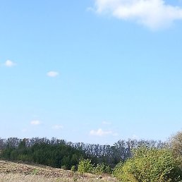 ������, ��������, 44 ����