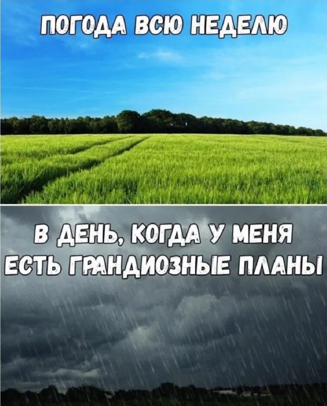***Victoria Viktorovna*** - 8 ���� 2023 � 04:42