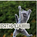 ���� Dian, ������, 37 ��� - ��������� 12 �������� 2023