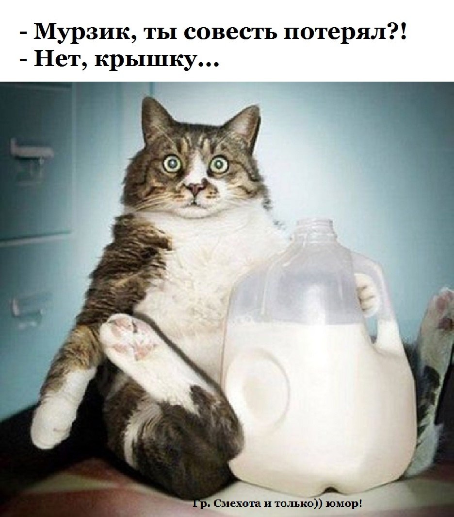  - 28  2023  07:28
