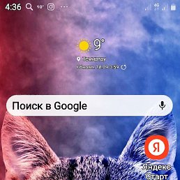 , , 51 