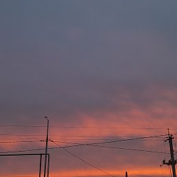 ��������, �������, 21 ���