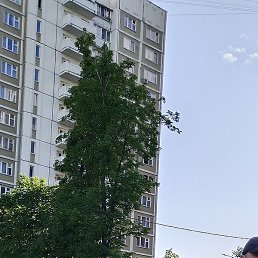 �����, ������, 43 ����