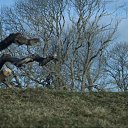 ���� ����, ����, 46 ��� - ��������� 7 �������� 2023 � ������ ���� ����������