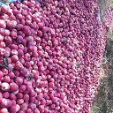 ���� Nasrullo, ���������, 43 ���� - ��������� 12 �������� 2023