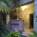 ���� ������, ����, 49 ��� - ��������� 10 ����� 2023