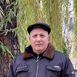 ����, ��������, 59 ���