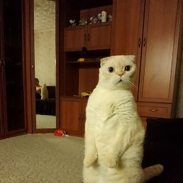 ���� �������, ������, 42 ���� - ��������� 16 ��� 2023