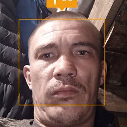 ������, ������, 33 ����