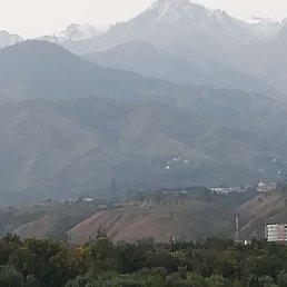 ����, ���������, 44 ����