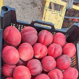 ������, ������������, 30 ���