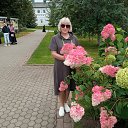 ���� �������, �������, 62 ���� - ��������� 9 �������� 2023 � ������ ���� ����������