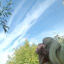 ���� �����, ������, 51 ��� - ��������� 16 ���� 2023 � ������ ���� ����������