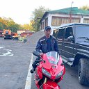 ���� �����, ������, 43 ���� - ��������� 12 ������� 2023 � ������ ���� ����������