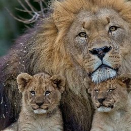 ���� ������, ��������, 42 ���� - ��������� 10 ��� 2023