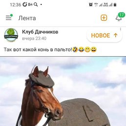 �����, �����������, 40 ���