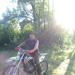 ��������, ������������, 37 ���