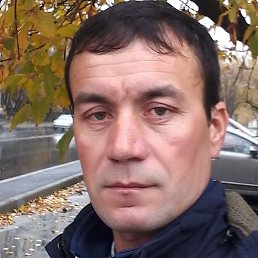 ������, ������, 41 ���