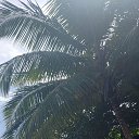 ���� �������, ���������, 63 ���� - ��������� 21 ������� 2023 � ������ ���� ����������