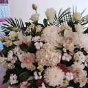 ���� ������, ������ - ��������� 17 ������� 2023 � ������ ���� ����������