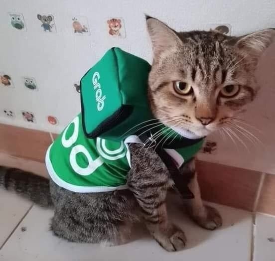 ))))