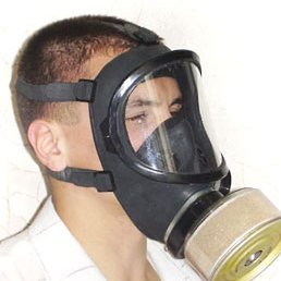 �������, ������������, 55 ���