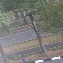 �����, ������, 29 ���