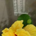 ���� �����, ���������� - ��������� 16 ������� 2023 � ������ ������ ��������
