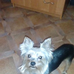 ���� ������, ��������, 44 ���� - ��������� 22 ������� 2023