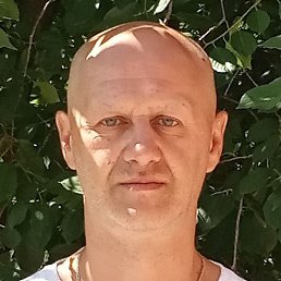 ������, ������, 54 ����