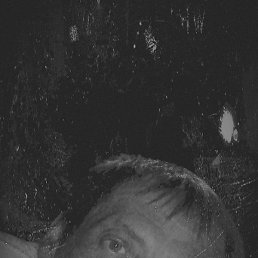 ����, �������, 42 ����