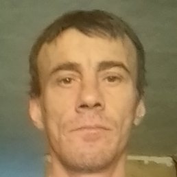 ����, ������-��������, 46 ���