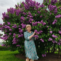 ���� ��������, ������, 67 ��� - ��������� 15 ���� 2023