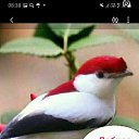 ���� �, ������������, 53 ���� - ��������� 7 ������� 2023 � ������ ���� ����������