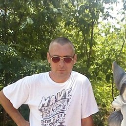 �������, �����, 50 ���