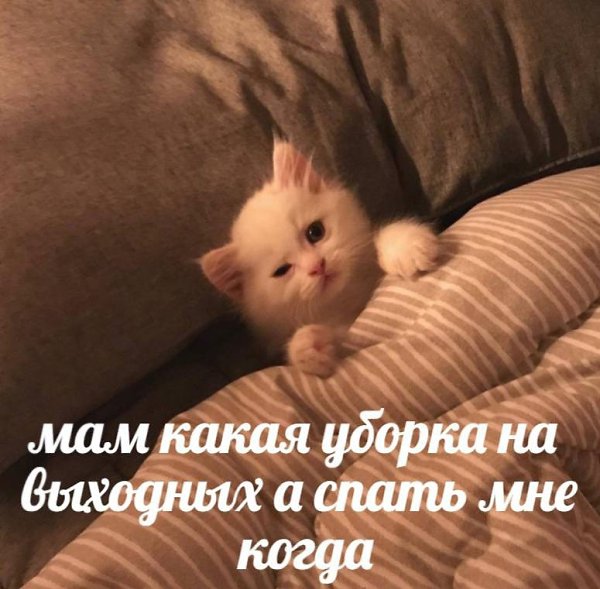   - 21  2023  13:31