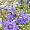 ���� �������, �����������, 57 ��� - ��������� 2 �������� 2023 � ������ ������ ��������