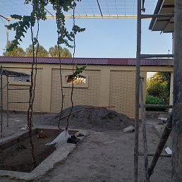 ���, �������, 42 ����