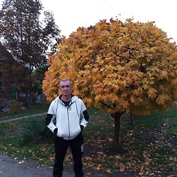 �������, �������, 59 ���