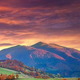 ������, ������, 37 ���