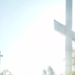 ���������, ������, 44 ����