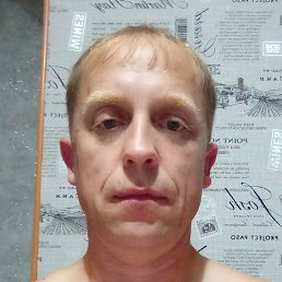 �������, �����, 44 ����