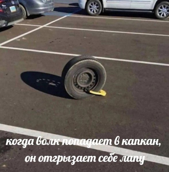   - 16  2023  22:01