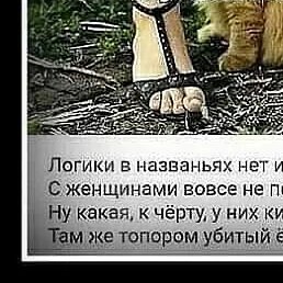 ������, �����������, 49 ���