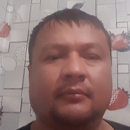 , , 46 