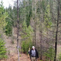 �������, ����������, 61 ���