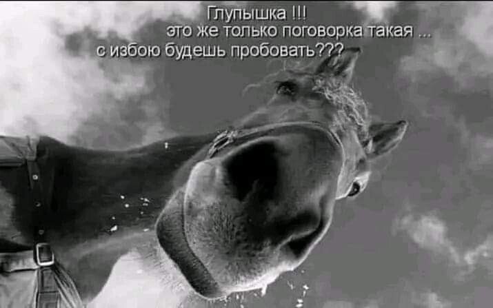 ***Victoria Viktorovna*** - 17  2023  13:33