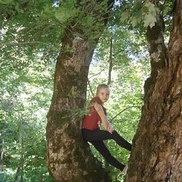 �������, ���������, 67 ���